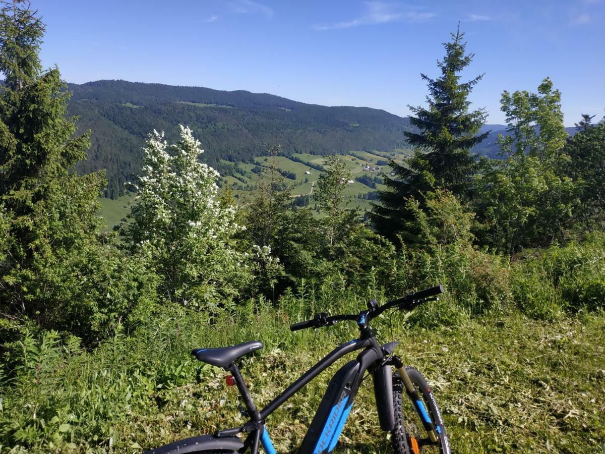 Ferienwohnung Les Chamois Lajoux Exterior foto